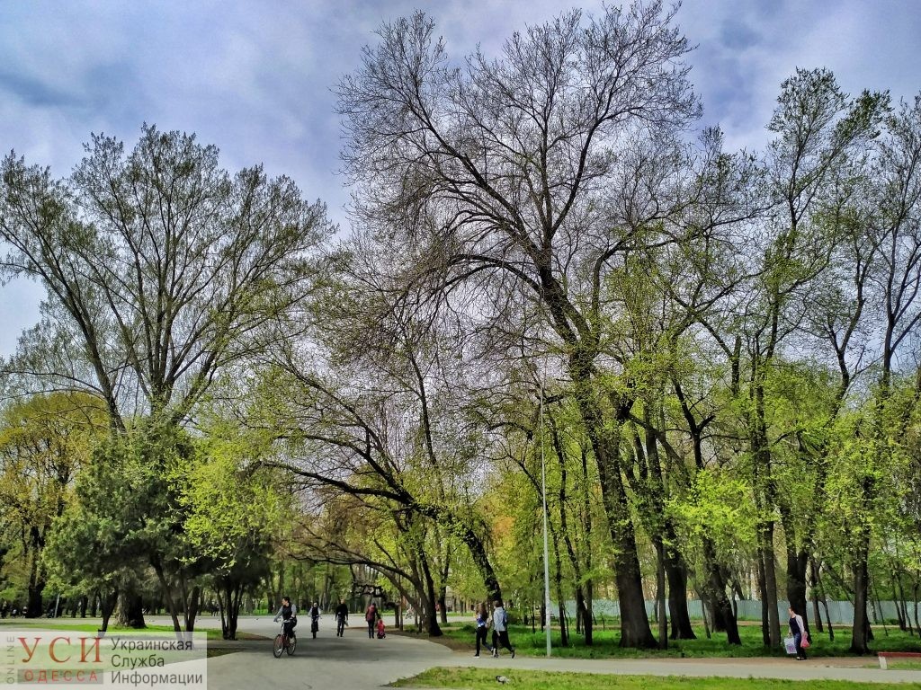 Погода в страстную субботу: в Одессе будет +23 «фото»
