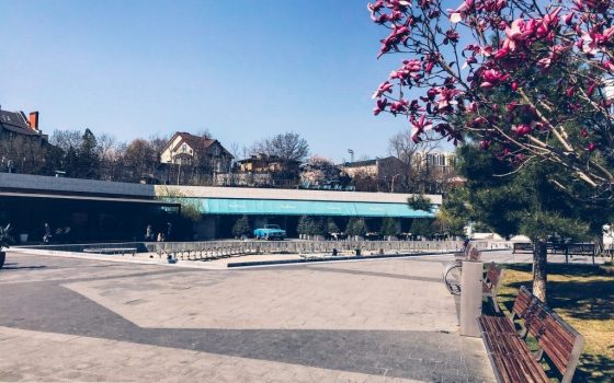 В первый день недели одесситов ожидает теплая и безоблачная погода «фото»