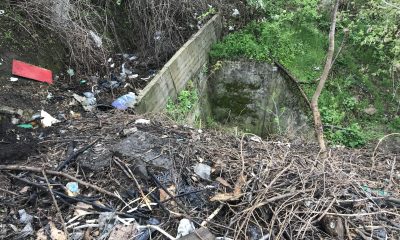 Зловонный запах и тонна мусора: на склонах возле дельфинария “Немо” продолжает существовать стихийная свалка (фото, видео) «фото»