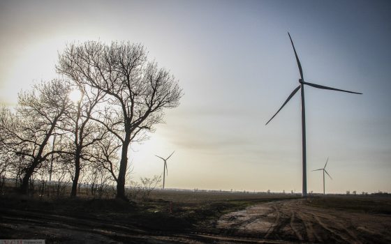 Во вторник в Одессе будет ветрено, но солнечно «фото»