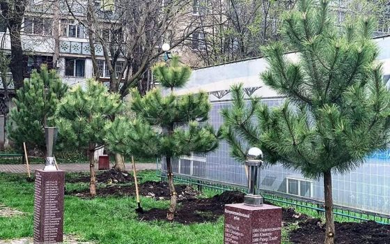 В Одессе появились аллеи сирени и сосен (фото) «фото»