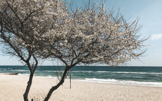 Солнечный день среди дождливой недели порадовал жителей и гостей Одессы (фоторепортаж) «фото»