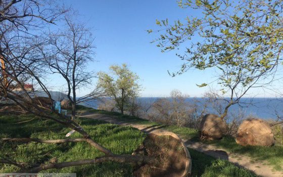 Возмещение ущерба: на 12-й Фонтана озеленяют территорию, на которой запланировано строительство отеля «фото»