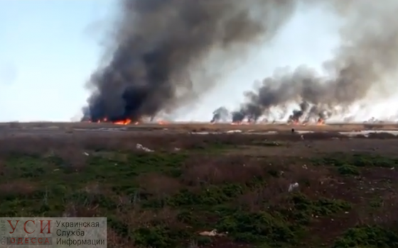 Масштабный пожар в Одесской области: вблизи жилых домов горит камыш (фото, видео) «фото»