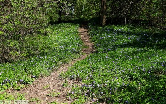 Весна продолжается: в Одессе будет солнечно, тепло и без осадков «фото»
