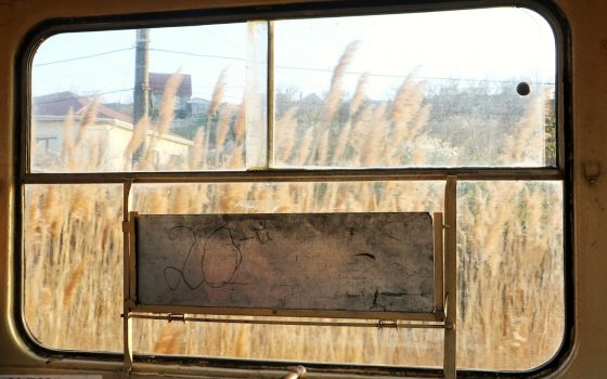 Одесский “камышовый” трамвай: живописные виды и дорога к Хаджибейскому лиману (фоторепортаж) «фото»