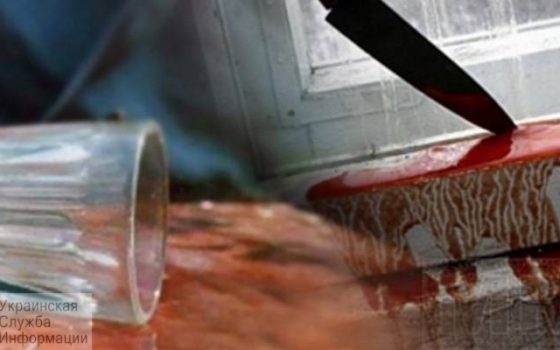 Мужчина убил ножом своего друга за недолитый стакан во время пьянки в Одессе «фото»