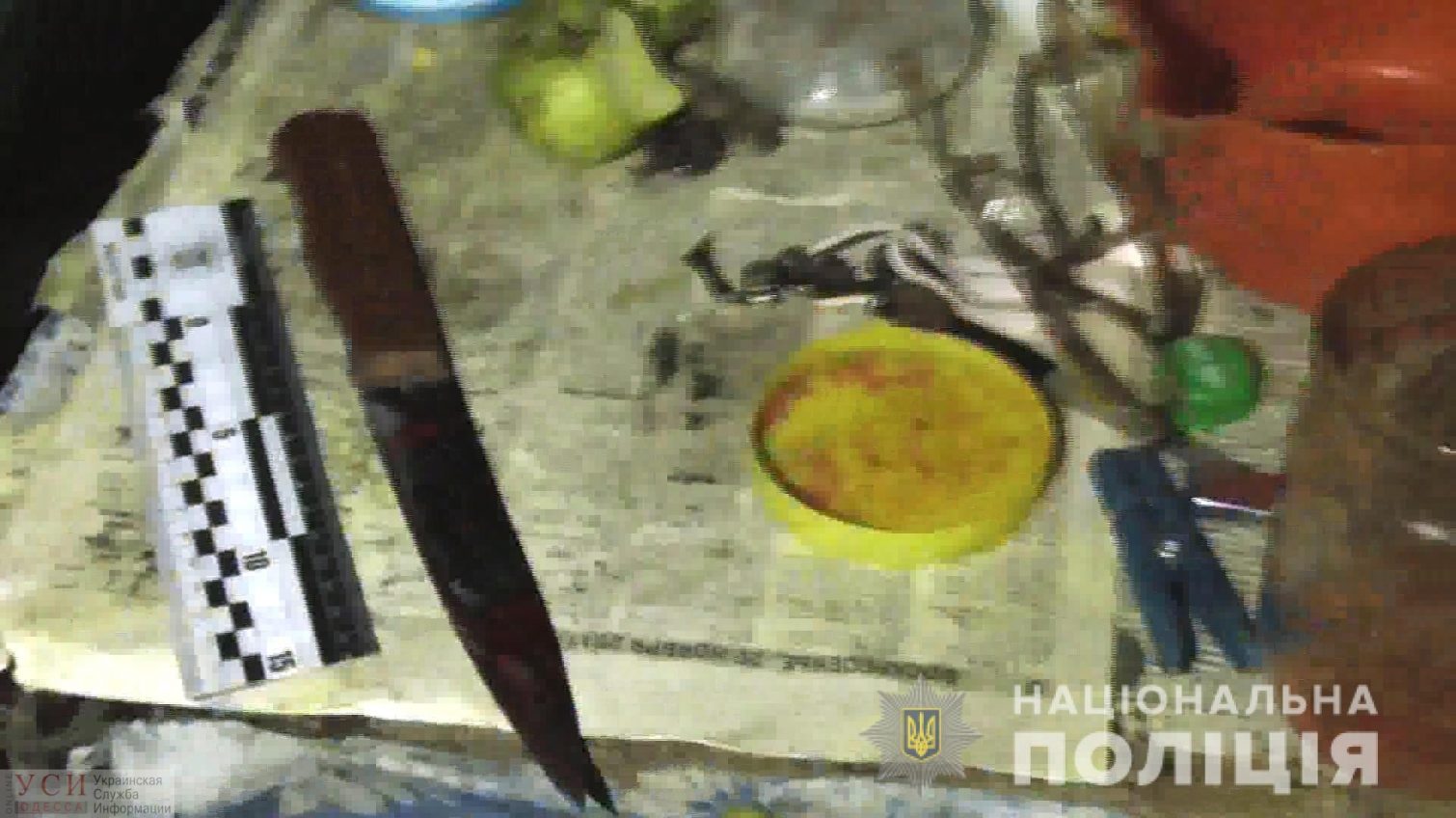 В Подольске женщина порезала ножом своего мужа и оставила его истекать кровью «фото»