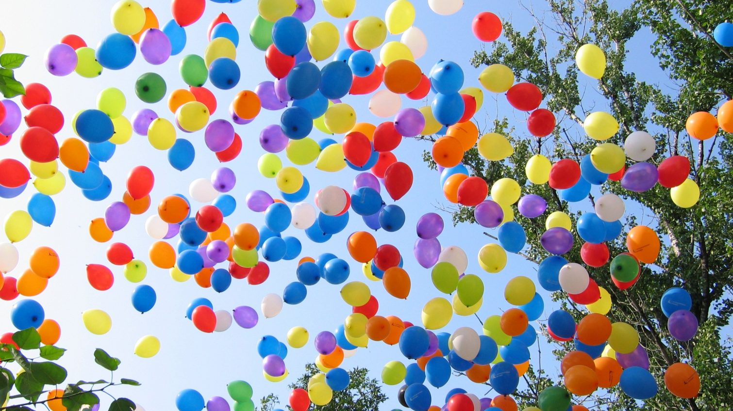 Украинских школьников просят присоединиться к эко-флешмобу и вместо запуска воздушных шаров посадить дерево (видео) «фото»