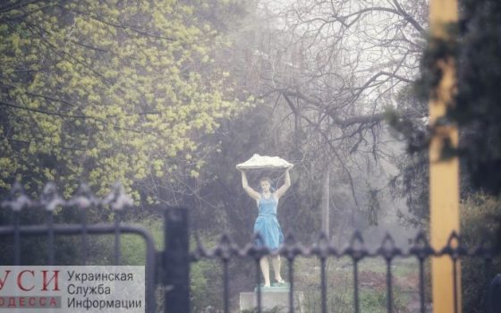 На территории Межрейсовой базы моряков отводят землю под застройку «фото»