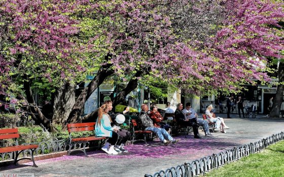 Итоги недели: инаугурация Зеленского, роспуск Рады, трибунал об освобождении украинских моряков и концерт Темниковой «фото»