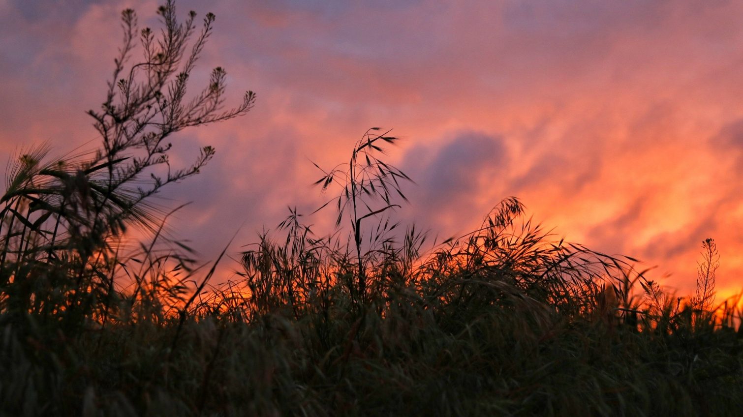 Драматический закат над Одессой – небо заиграло палитрой насыщенных багровых цветов (фото) «фото»