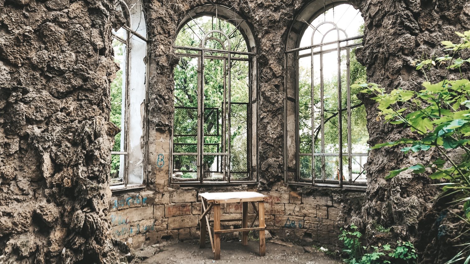 Оранжерея Маразли: увядающая эстетика великой Одессы (фото) «фото»