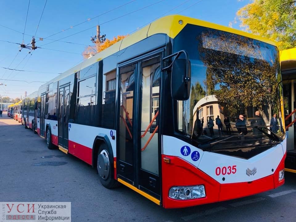 В Одессе упавшее дерево остановило 4 троллейбусных маршрута «фото»