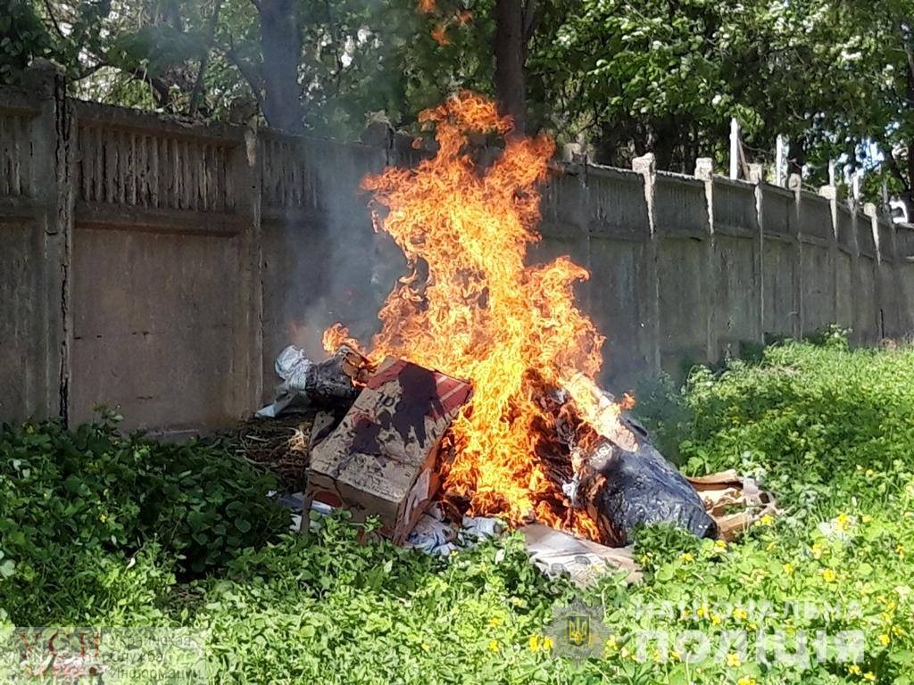 В Измаиле сожгли 11 килограммов наркотиков (фото) «фото»