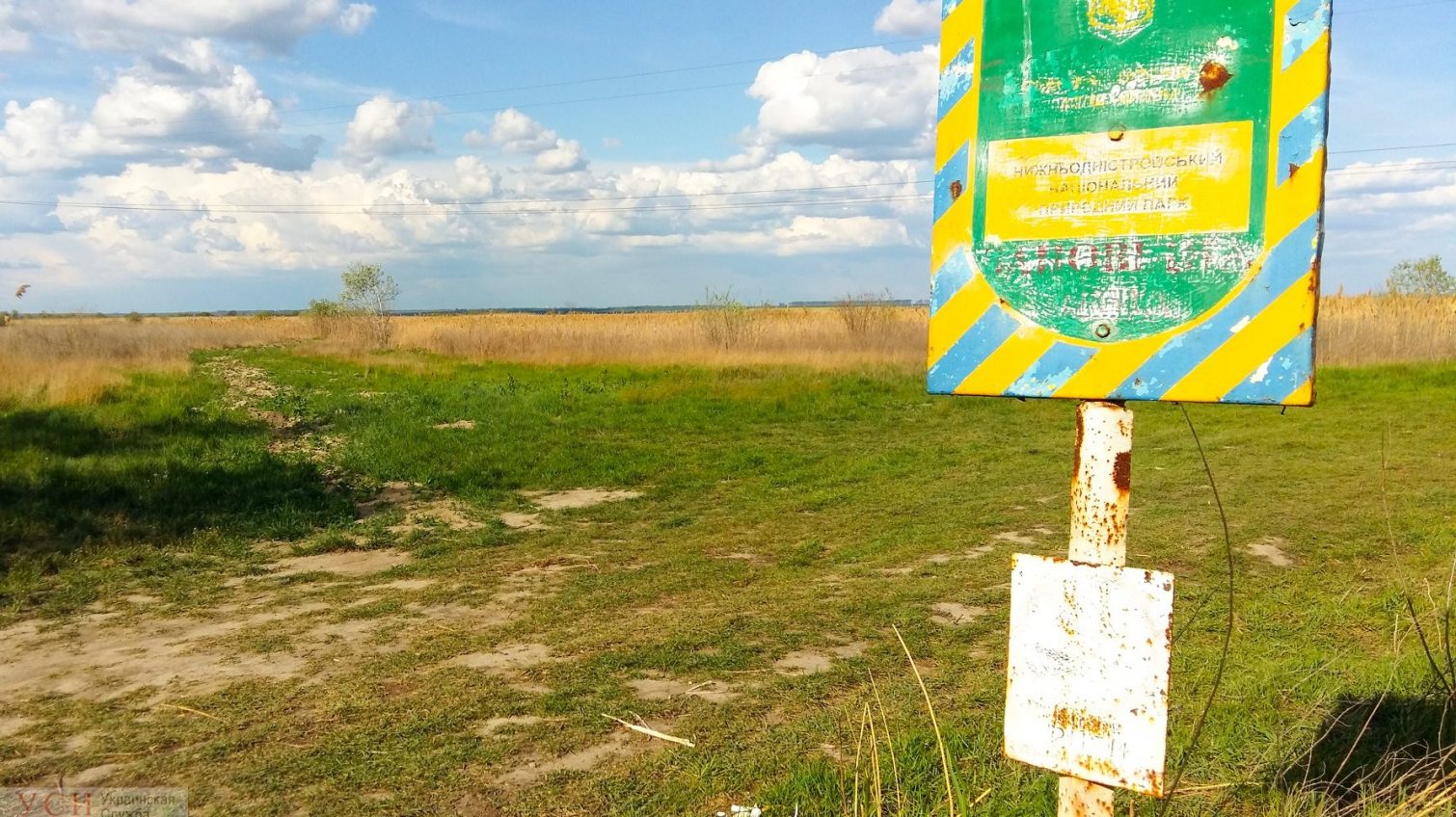 Экологи бьют тревогу: заповедные Днестровские плавни страдают от обезвоживания (фото) «фото»