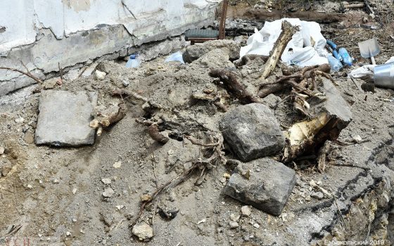 В Одессе откопали старинную дорожку, по которой мог гулять Пушкин (фото) usionline.com В Одессе откопали старинную дорожку, по которой мог гулять Пушкин (фото) «фото»