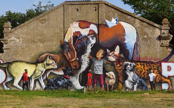 В Одессе на стене приюта для спасенных животных появился мурал в его поддержку (фото) «фото»