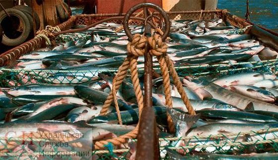 Ассоциация рыболовов Украины: к 2050 году в украинских водоемах может исчезнуть рыба «фото»