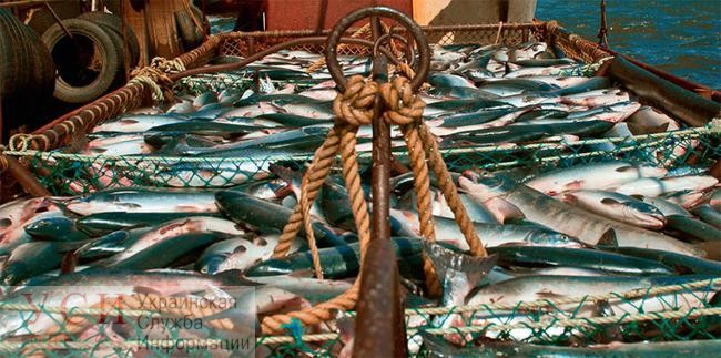 Ассоциация рыболовов Украины: к 2050 году в украинских водоемах может исчезнуть рыба «фото»