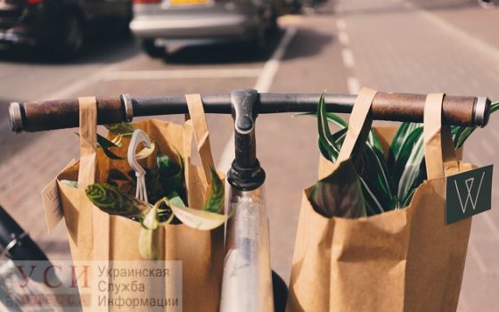Экоактивисты подали в мэрию петицию по запрету пластиковых пакетов «фото»