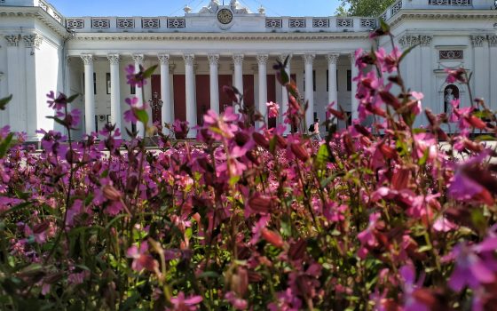 В Одессе из 64 депутатов только семь получили “5 баллов” за свою работу «фото»