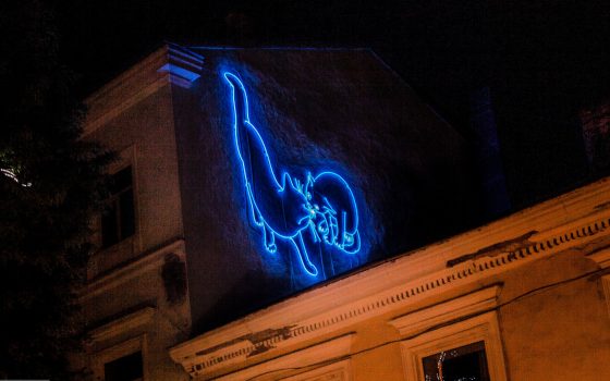 На Дерибасовской на стене дома появились влюбленные коты “Мур-Мяу” (фото) «фото»