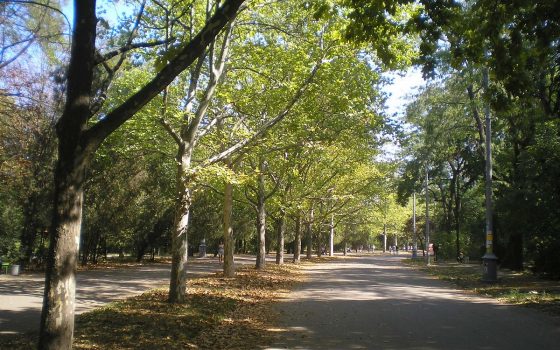 В парке Шевченко сдают два помещения под торговлю «фото»