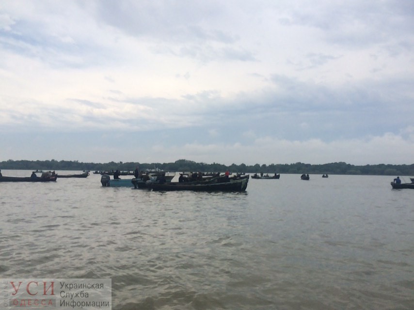 Рыбаки из Вилково перекрыли лодками Дунай в знак протеста: все дело в селедке (фото, видео) «фото»