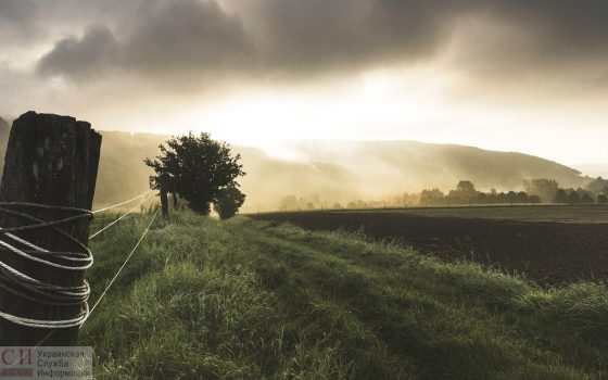 На поддержку семейных фермерских хозяйств государство выделило порядка 800 миллионов гривен «фото»