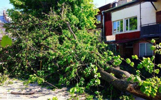 Горожан просят быть осторожными: шквальной ветер повалил деревья в Одессе (фото) usionline.com Горожан просят быть осторожными: шквальной ветер повалил деревья в Одессе (фото) «фото»