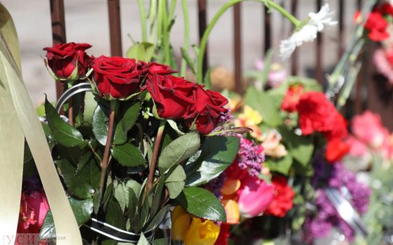 Как на Куликовом поле цветы возлагают (таймлапс) usionline.com Как на Куликовом поле цветы возлагают (таймлапс) «фото»