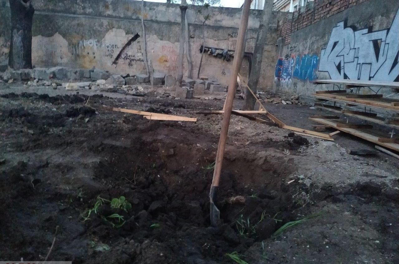 В Летнем театре рабочие уничтожили молодые деревья, которые высадили общественники (фото) «фото»