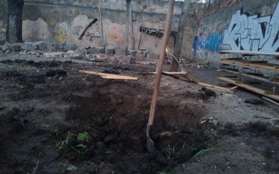 В Летнем театре рабочие уничтожили молодые деревья, которые высадили общественники (фото) usionline.com В Летнем театре рабочие уничтожили молодые деревья, которые высадили общественники (фото) «фото»