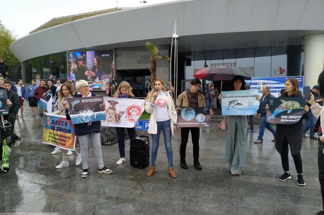“Дельфины заслуживают свободу”: зоозащитники вышли на протестную акцию к дельфинарию “Немо” (фото) «фото»