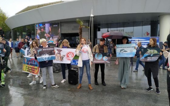 “Дельфины заслуживают свободу”: зоозащитники вышли на протестную акцию к дельфинарию “Немо” (фото) usionline.com “Дельфины заслуживают свободу”: зоозащитники вышли на протестную акцию к дельфинарию “Немо” (фото) «фото»