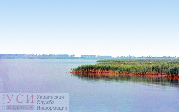 В облсовете заявили о скорой гибели дунайского озера «фото»