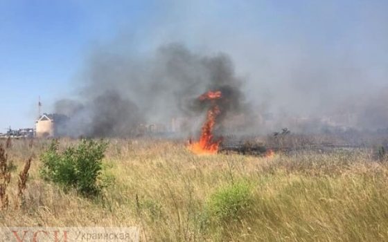 На поселке Котовского рядом с жилыми домами горят 2 гектара сухой травы (фото) «фото»