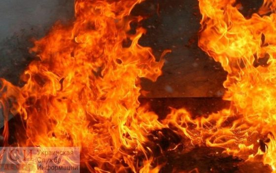 Из-за аномальной жары в Одесской области объявили чрезвычайную пожароопасность «фото»