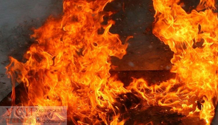 Из-за аномальной жары в Одесской области объявили чрезвычайную пожароопасность «фото»