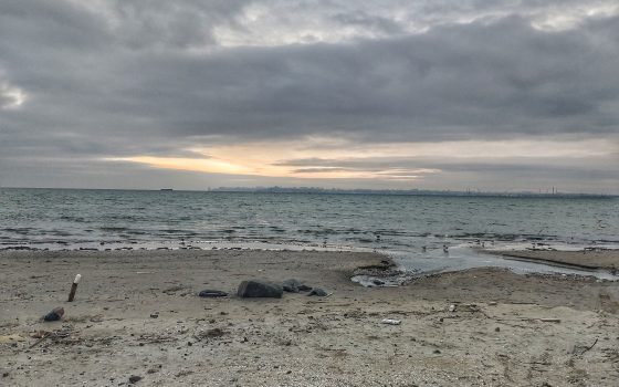 В Одессе в четверг будет тепло и пасмурно «фото»