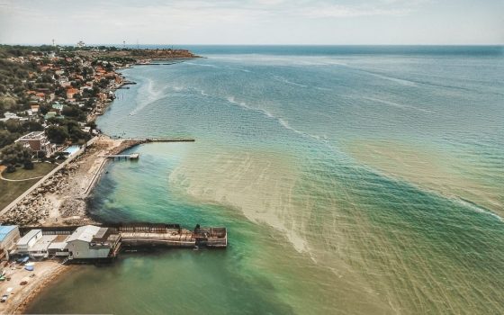 “Процессы цветения моря и развитие бактерий могут продлиться от двух недель до месяца”, – эксперт «фото»