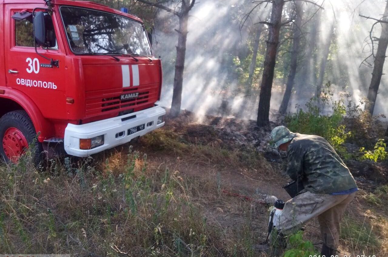 В Одесской области горел лес «фото»
