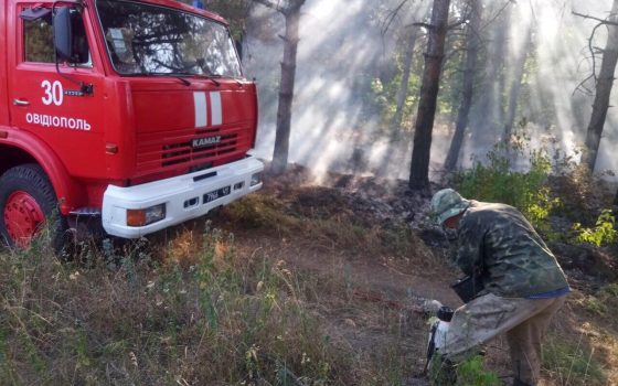 В Одесской области горел лес usionline.com В Одесской области горел лес «фото»