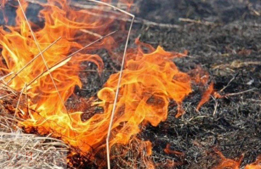 Масштабный пожар в полях под Одессой едва не уничтожил урожай пшеницы «фото»