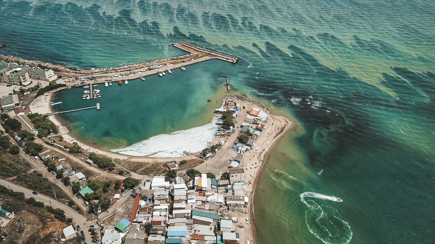 Цветущее зеленое море: необычное зрелище с высоты (фоторепортаж) «фото»