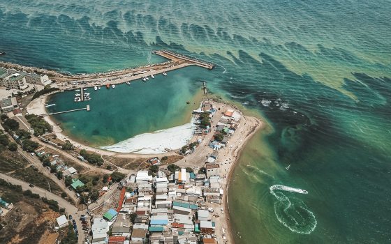 Цветущее зеленое море: необычное зрелище с высоты (фоторепортаж) usionline.com Цветущее зеленое море: необычное зрелище с высоты (фоторепортаж) «фото»