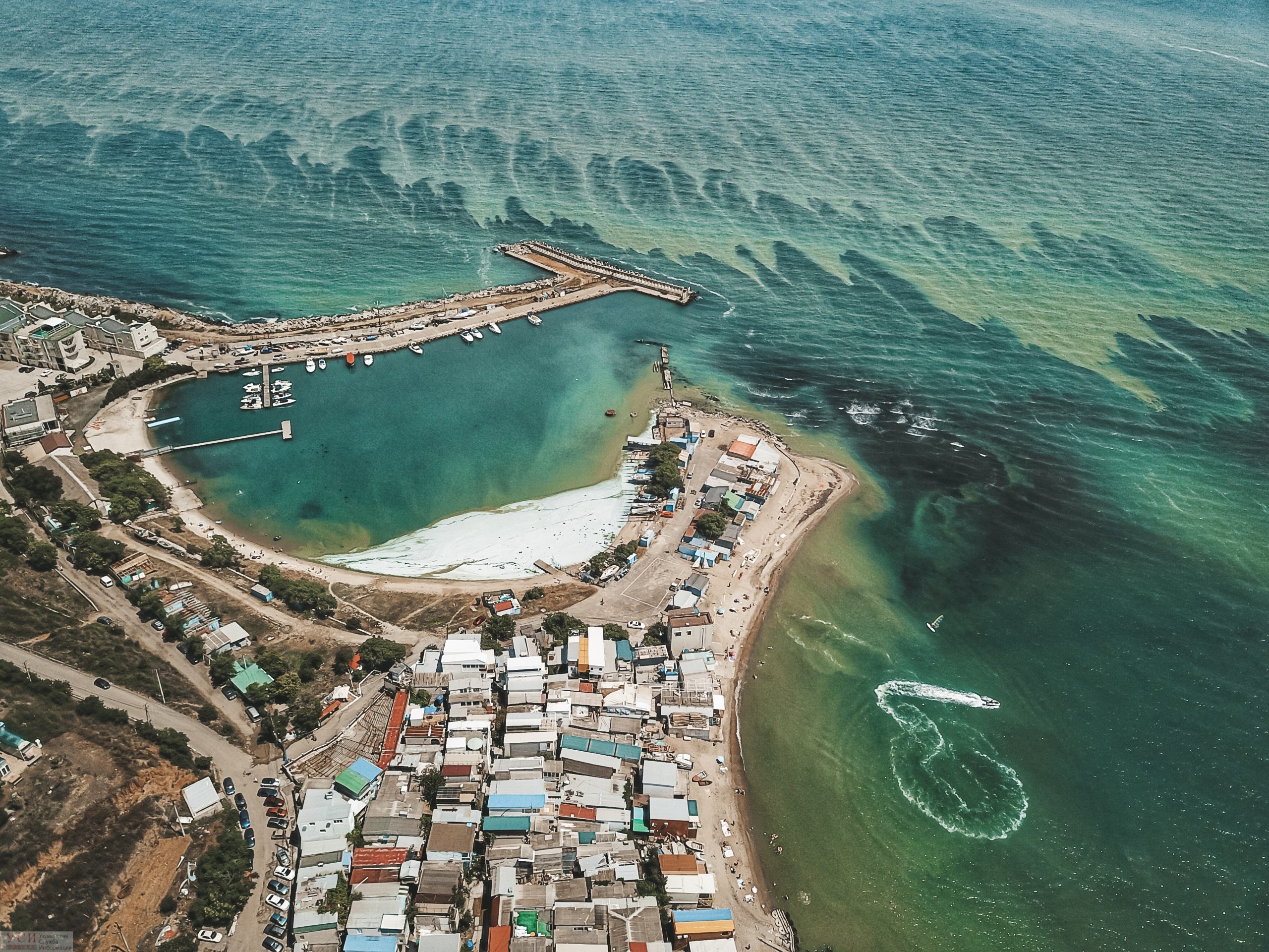 Цветущее зеленое море: необычное зрелище с высоты (фоторепортаж) — УСІ ...