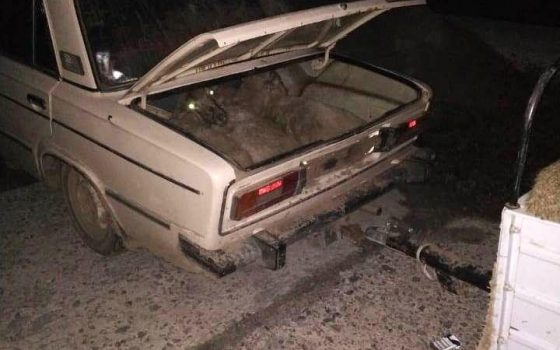 В Измаильском районе задержали похитителей отары овец: они везли животных в багажнике “Жигулей” и прицепе (фото) «фото»