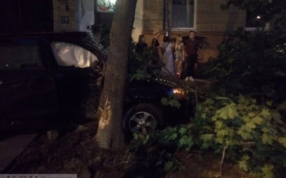 В центре Одессы водитель протаранил дерево, которое упало на парня (фото) «фото»